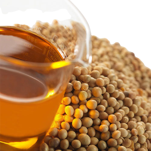 Refined Soybean Oil